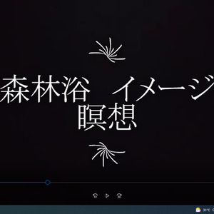 森林浴のイメージ瞑想 マインドフルネス