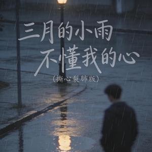 三月的小雨不懂我的心 (伴奏|撕心裂肺版)