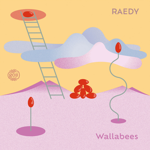 Wallabees