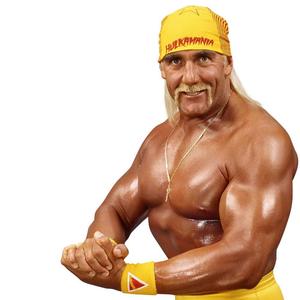 Hulk Hogen die Legende