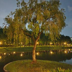 爱你是平凡人生中的壮举