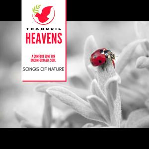 Heavenly Music of the Leaves in the Wind