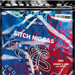 Bitch Niggas (Chivv Remix)