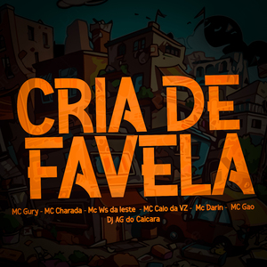 Cria de Favela