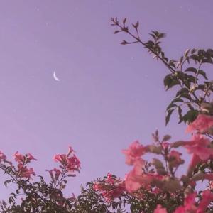 I saw it blossom in the dead of night.