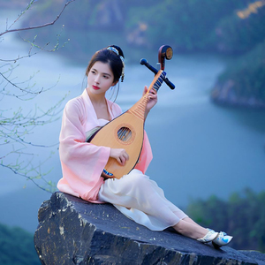 采茶扑蝶(琵琶独奏)