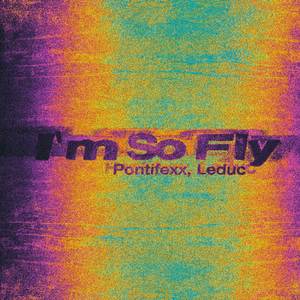 I’m So Fly
