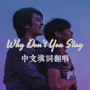 Why Don't You Stay（中文填词翻唱）