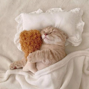 Shooting Stars (slowed)