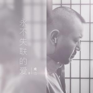 永不失联的爱