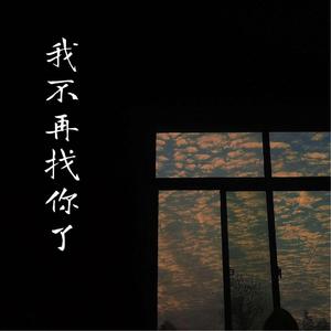 我不再找你了