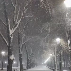 Michael Calfan-call me now remix（violin版