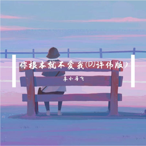 你根本就不爱我-伴奏(DJ许伟版伴奏)