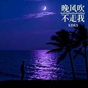 晚风吹不走我