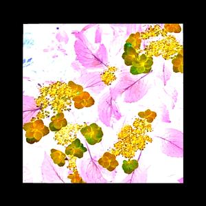 Flow of Disrupted Tides