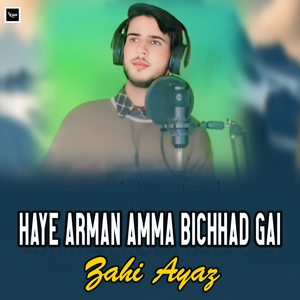 Haye Arman Amma Bichhad Gai