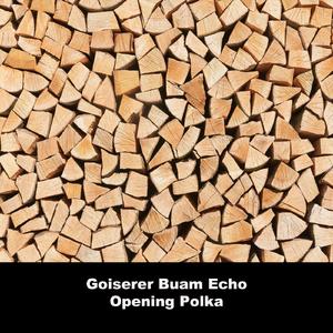 Opening-Polka