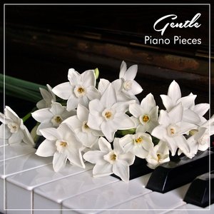 Clementi's Sonata in G Minor Didone Abbandonata Op 50 II Adagio Dolente