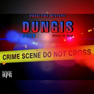 Dungis