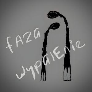 Faza wypalenie