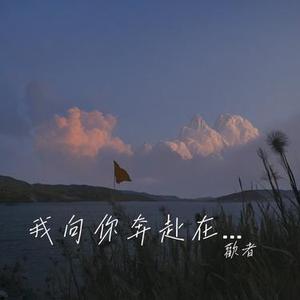 我向你奔赴在梦的方向