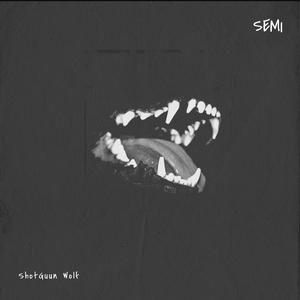 SEMI