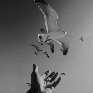 我们的爱像香水后调
Perfume