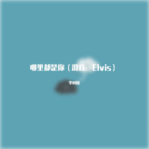 哪里都是你（混音：Elvis）