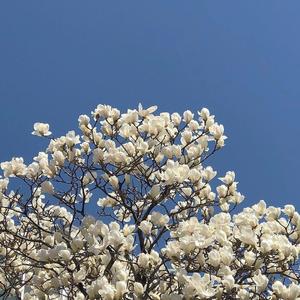 再见容易，再见难