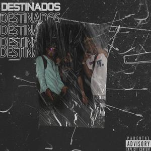 Destinados