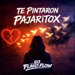 Te Pintaron Pajaritox