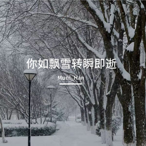 你如飘雪转瞬即逝