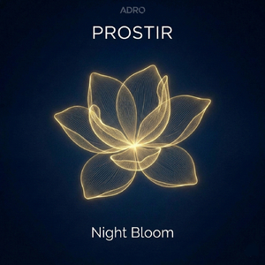 Night Bloom
