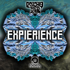 Experience
