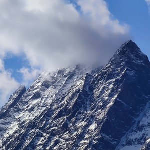 《等不到回答》