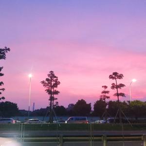 世界欠我一个你