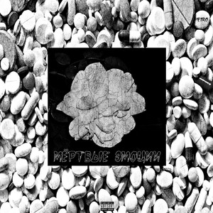 Мёртвые эмоции