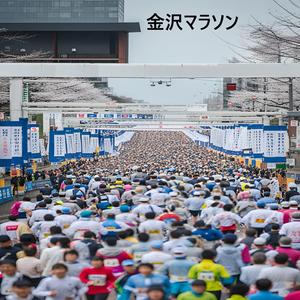箱根駅伝予選会