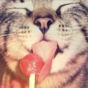 Untitled Aug 4, 2025 12:27 AM