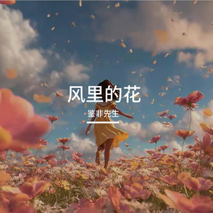 风里的花 伴奏