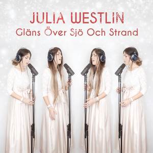 Gläns Över Sjö Och Strand