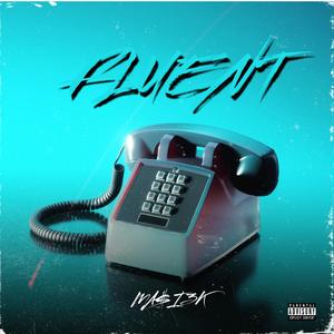 FLUENT