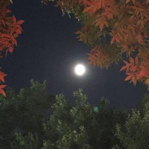 嗜好（完整版）