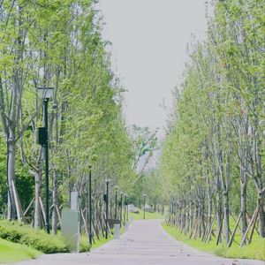 不敢爱的人（Prod.No Birthday）