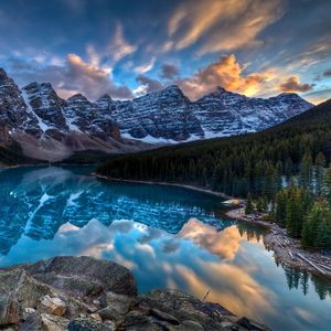 铁轨尽头的野花