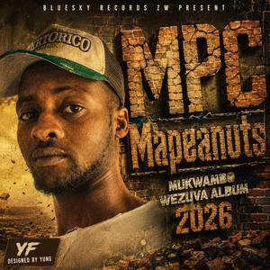 Mukudzei Mukombe