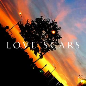 Love Scars