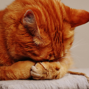 Nighttime Melancholy