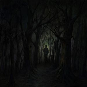 误入幽暗森林