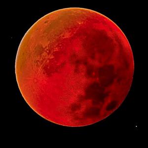 JUST(FRiENDS) (feat. Antizirim)